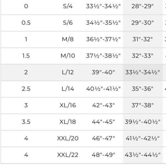 CHICO’S Zenergy 40th Anniversary Neema Fabric Golf Skort Size 4 NEW - Picture 11 of 11